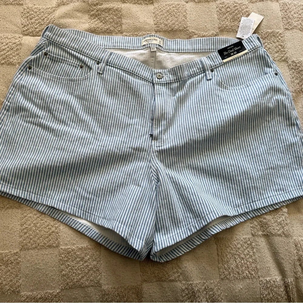 Abercrombie & Fitch Blue Striped Jean Shorts - Picture 1 of 4